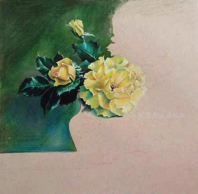 彩铅花卉（图ZMTM5ODQzMTI4） - 绘画 - 站酷设计师驼背老巫婆原创素材 - 站酷ZCOOL