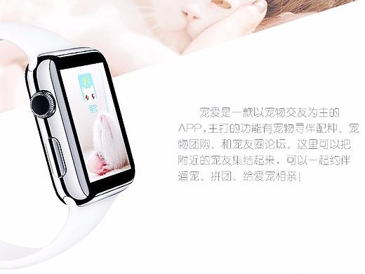 宠物APP applewatch界面