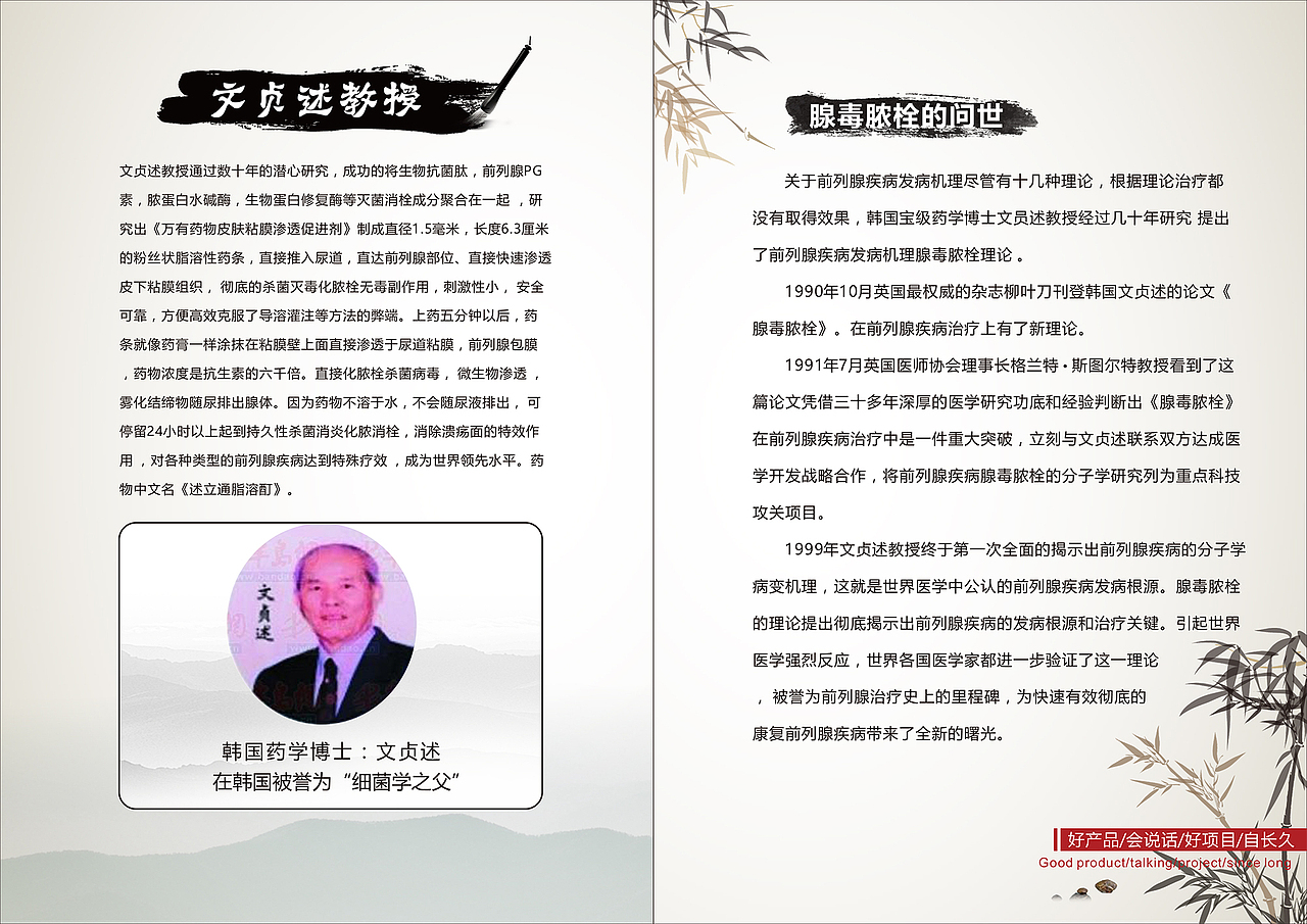 宣传画册（图ZMTcyMjk2NTEy） - 书籍/画册 - 站酷设计师lina521原创素材 - 站酷ZCOOL
