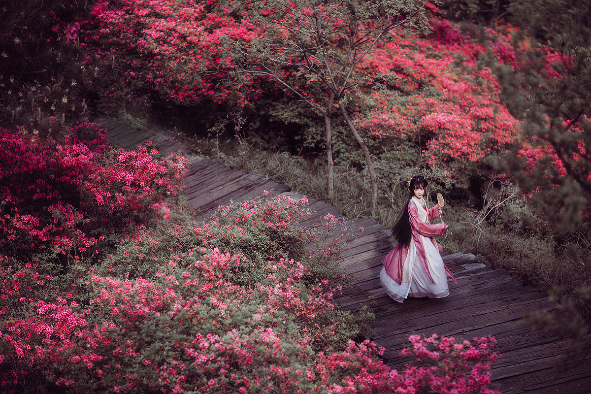 一路山花不负侬