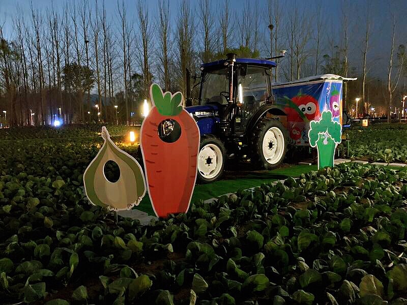 2019 北京 世界园艺博览园（图ZMTU2MDE4NDY4） - 商业插画 - 站酷设计师达芬雷雷原创素材 - 站酷ZCOOL