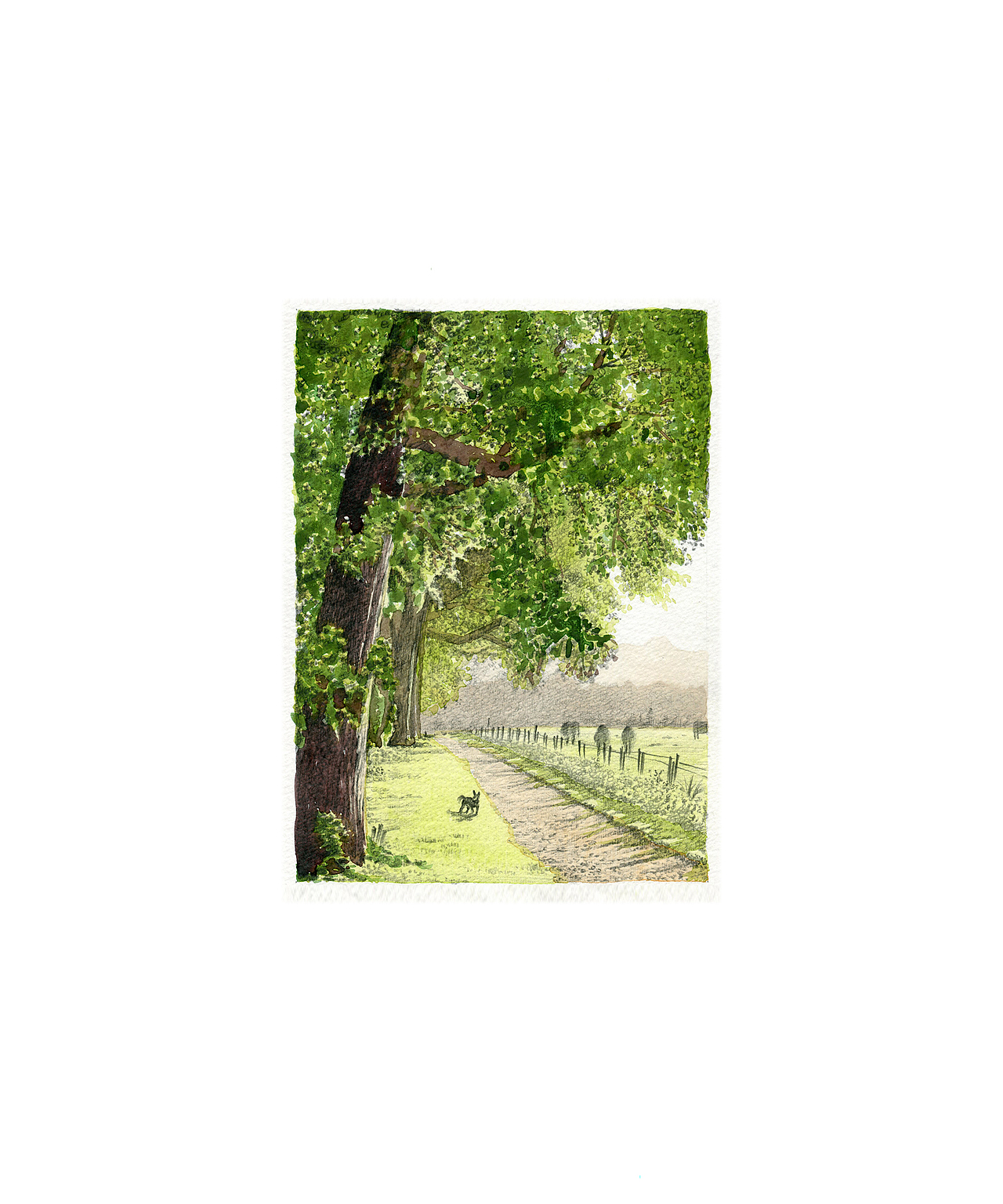 习作 纸本水彩石墨