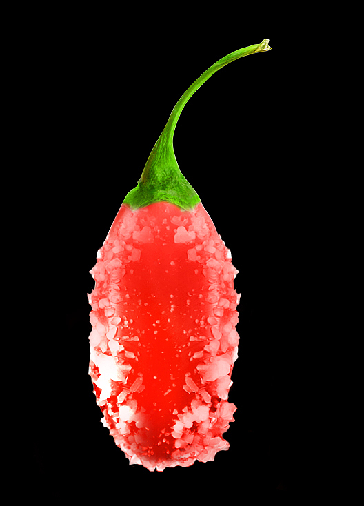 枸杞标识+包装一系列（图ZMTQ3NDYyODgw） - 包装 - 站酷设计师橙子君君原创素材 - 站酷ZCOOL