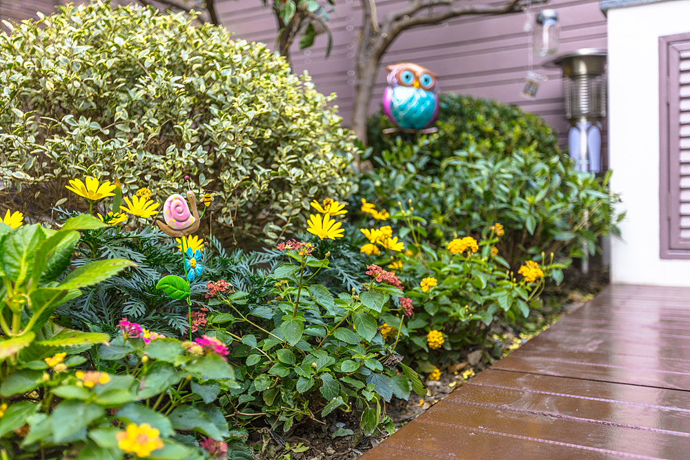 无疑
现代简约风格的装修风格迎合了年轻人的喜爱<br>都市忙碌生活<br>早已经让我们烦腻了花天酒地<br>灯红酒绿<br>我们更喜欢的一个安静、祥和<br>看上去明朗宽敞舒适的花园<br>来消除工作的疲惫<br>忘却都市的喧闹<br>