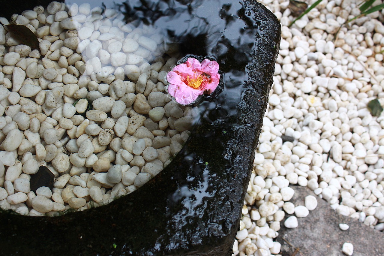 自制桌面秀（图ZMjg0MjMyNDQ=） - 风光摄影 - 站酷设计师小峰峰1900原创素材 - 站酷ZCOOL