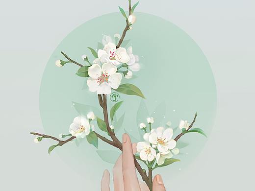 拈花1