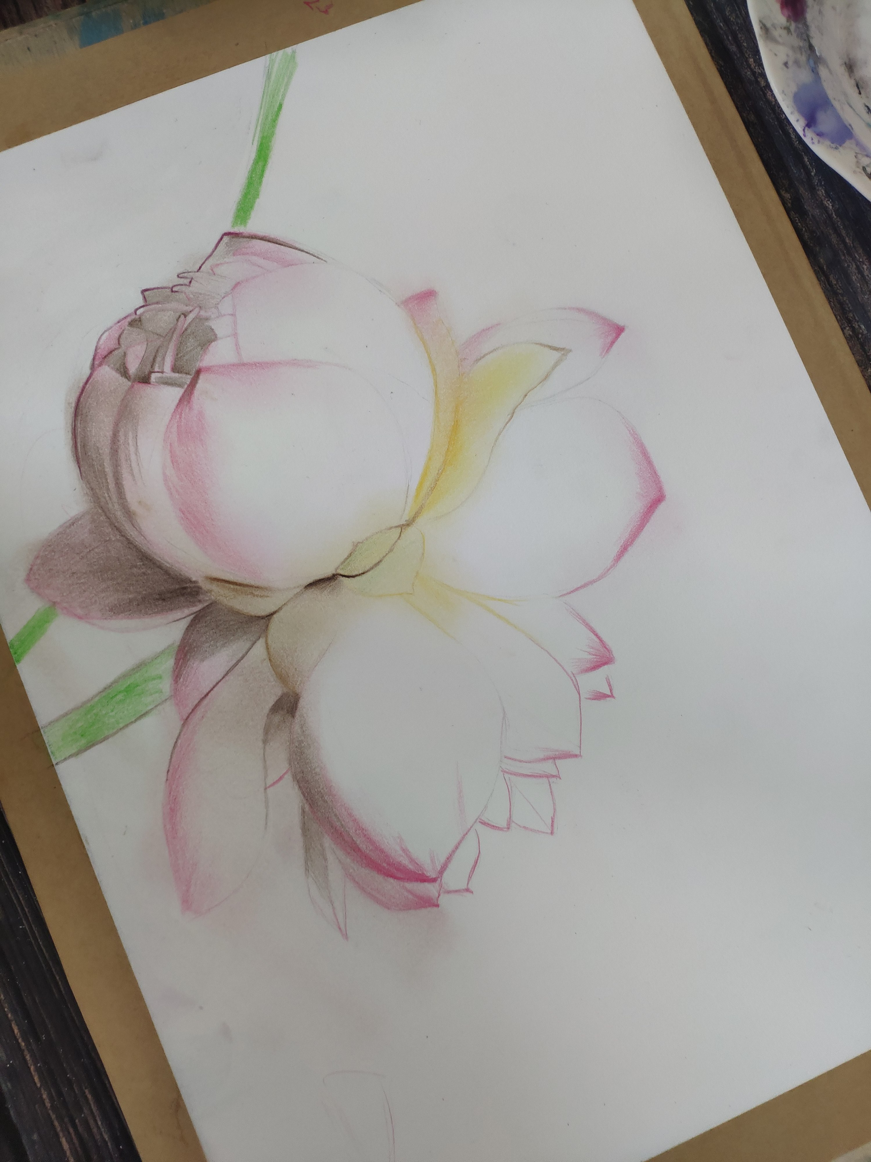 并蒂莲|纯艺术|绘画|马行画彩铅_原创作品-站酷zcool