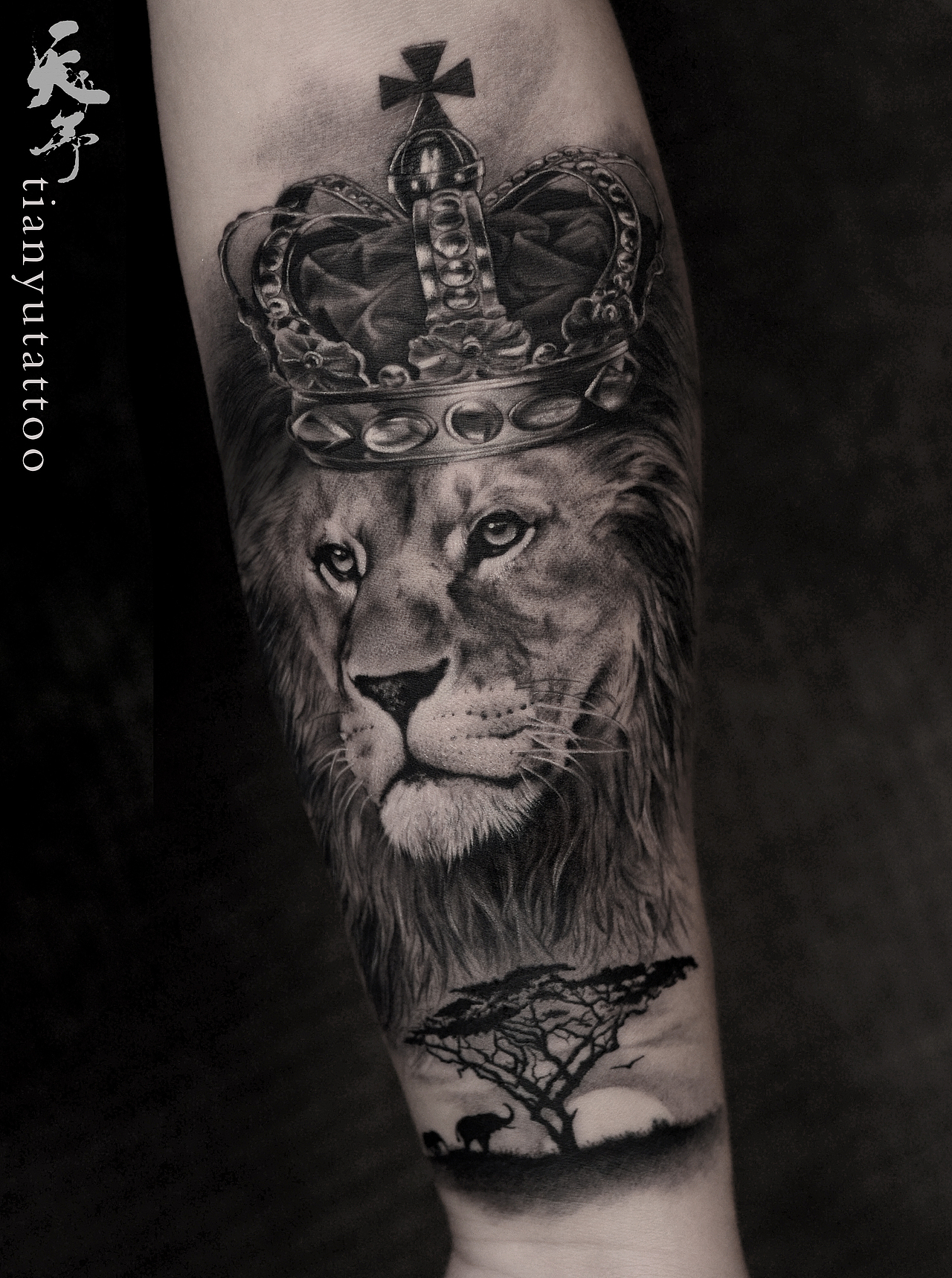 【每日作品】狮子王遮盖 (天予刺青·彦伊作品)