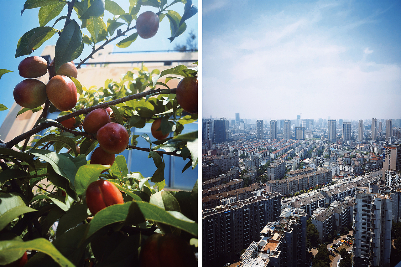 小梦的随手拍-第2期