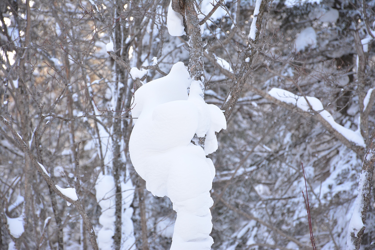 颤抖在东北（图ZMTAzNzgwMDgw） - 风光摄影 - 站酷设计师322的233原创素材 - 站酷ZCOOL