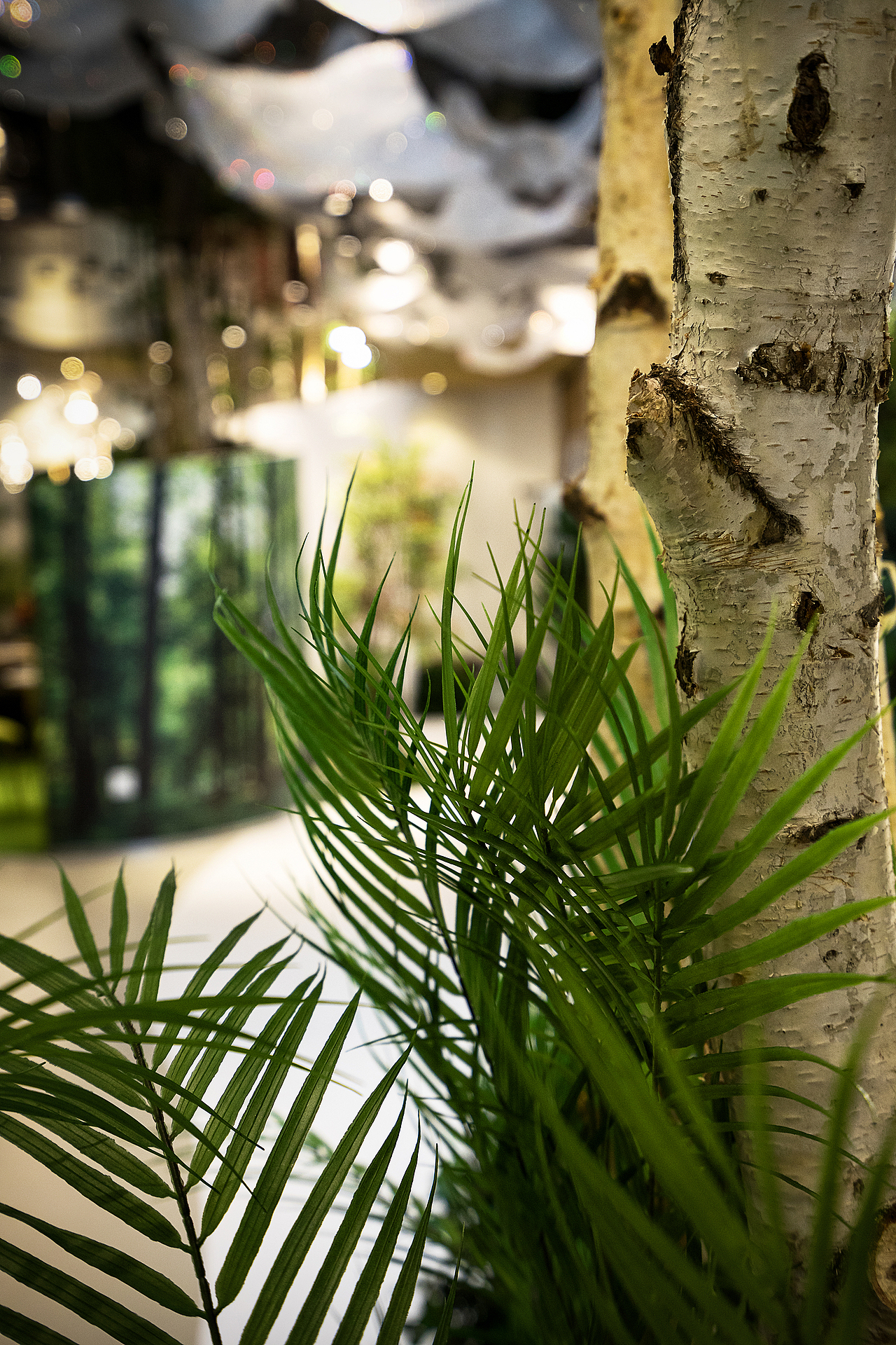 【空间摄影】长春力旺孔雀林临时接待中心