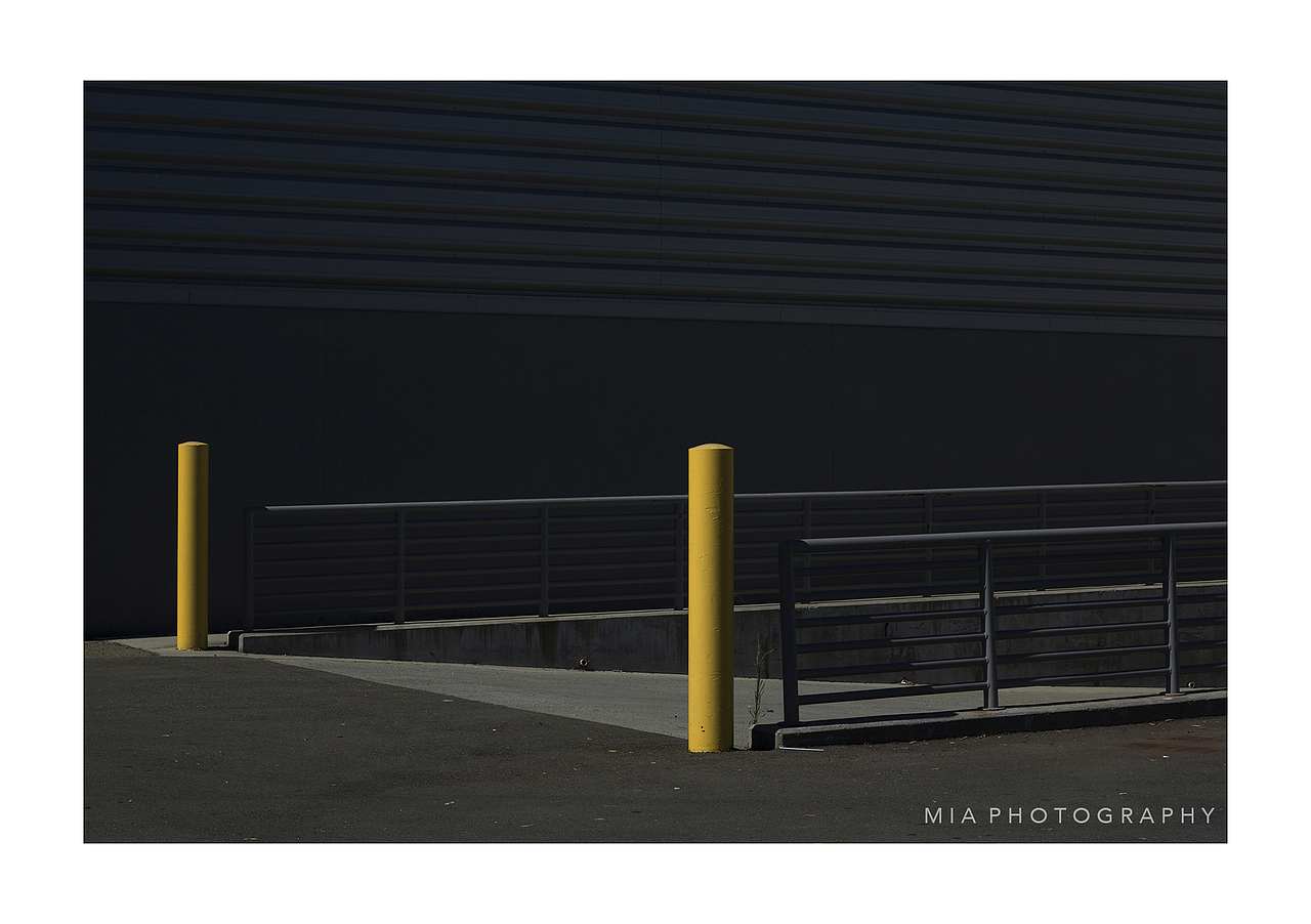 左手可乐 右手相机