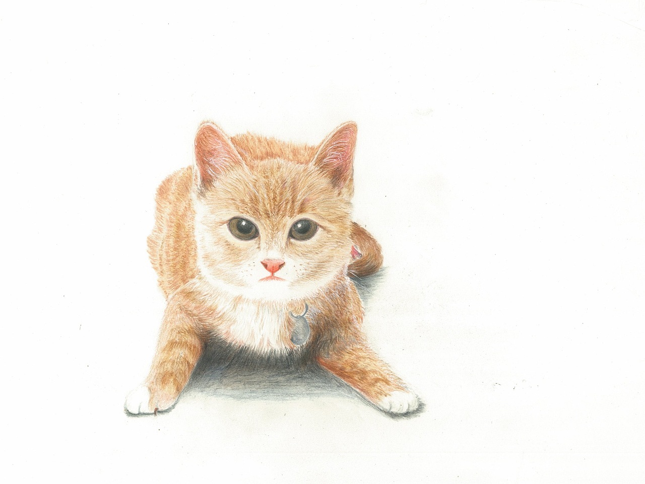 趴着的猫|纯艺术|绘画|果子狸猫_原创作品-站酷zcool