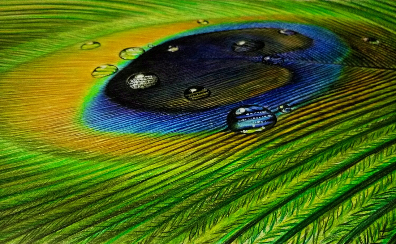 孔雀翎（图ZNDI4NDc2ODA=） - 绘画 - 站酷设计师滴水和涟漪原创素材 - 站酷ZCOOL