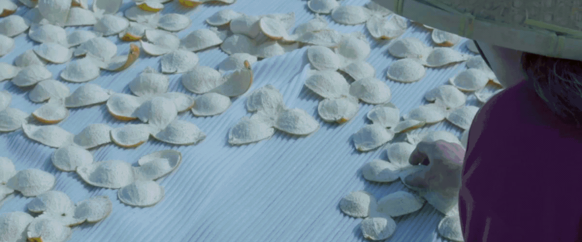 智慧农业-新会陈皮产业园APP 