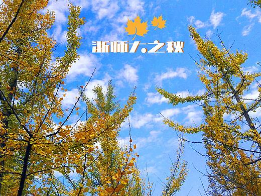 师大的秋