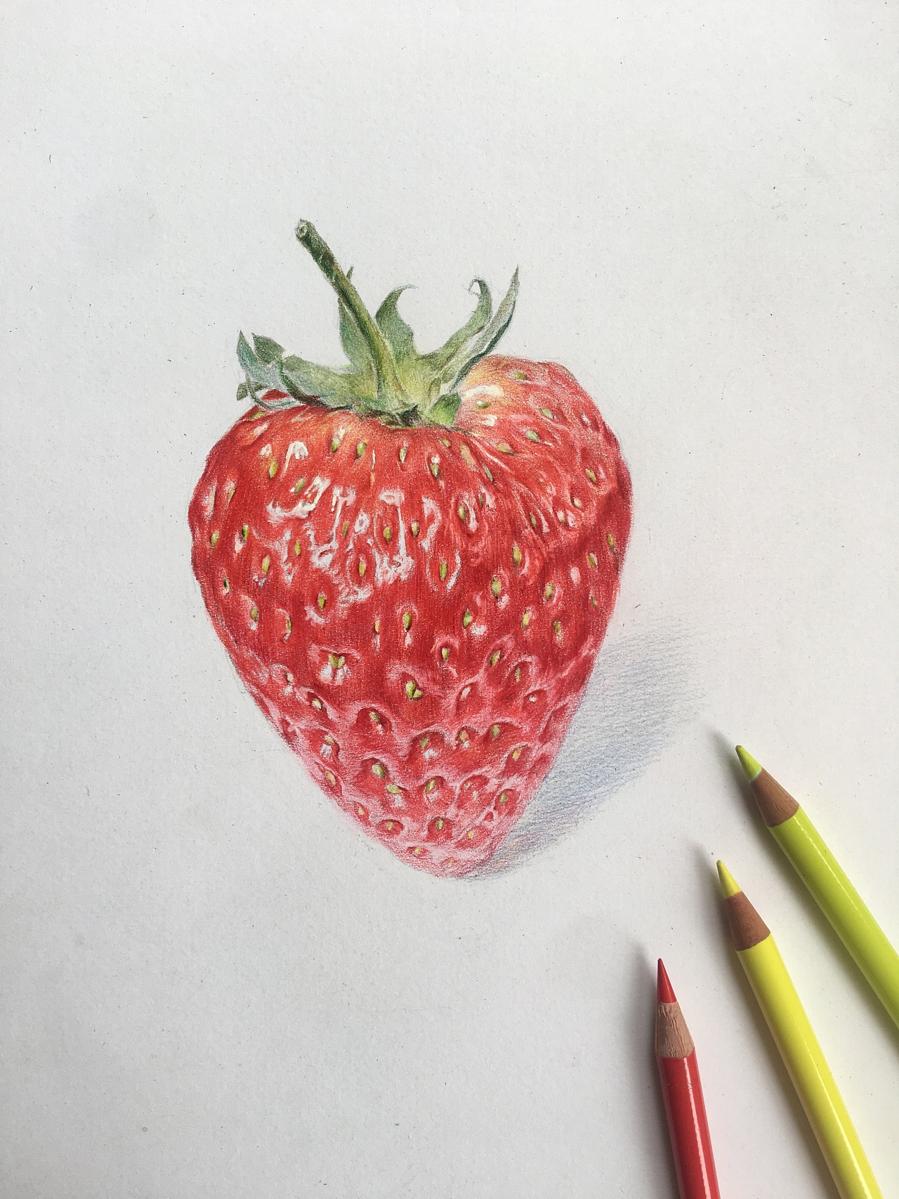 草莓彩铅画入门图片