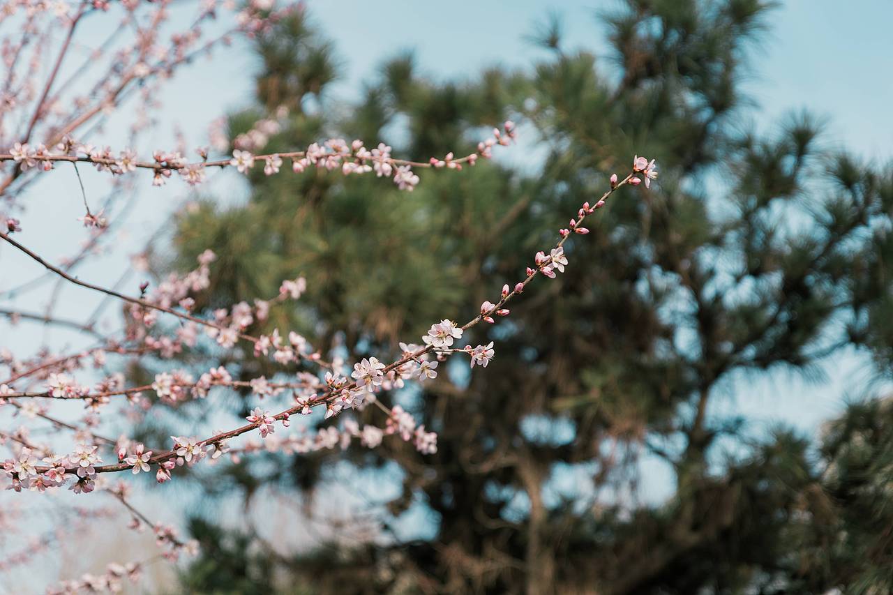 今日份的扫街（图ZMjQ5MTE1NTA4） - 人文/纪实摄影 - 站酷设计师Myth神话丶原创素材 - 站酷ZCOOL