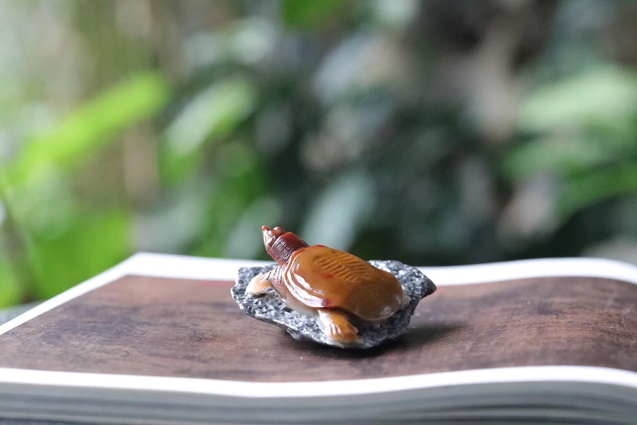 秋坞居鳖乌龟俏色巧雕工艺艺术品