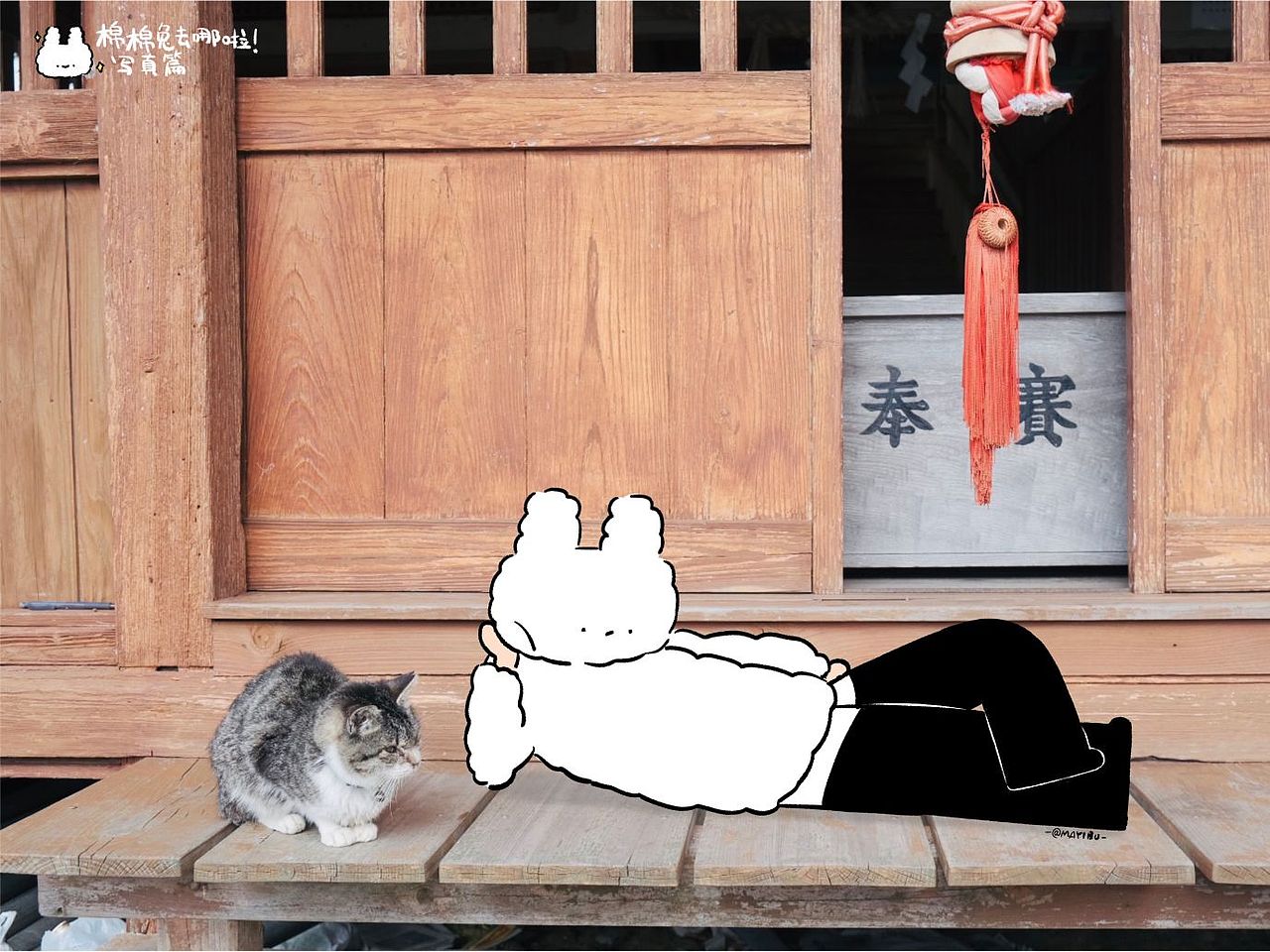 棉棉兔的写真馆