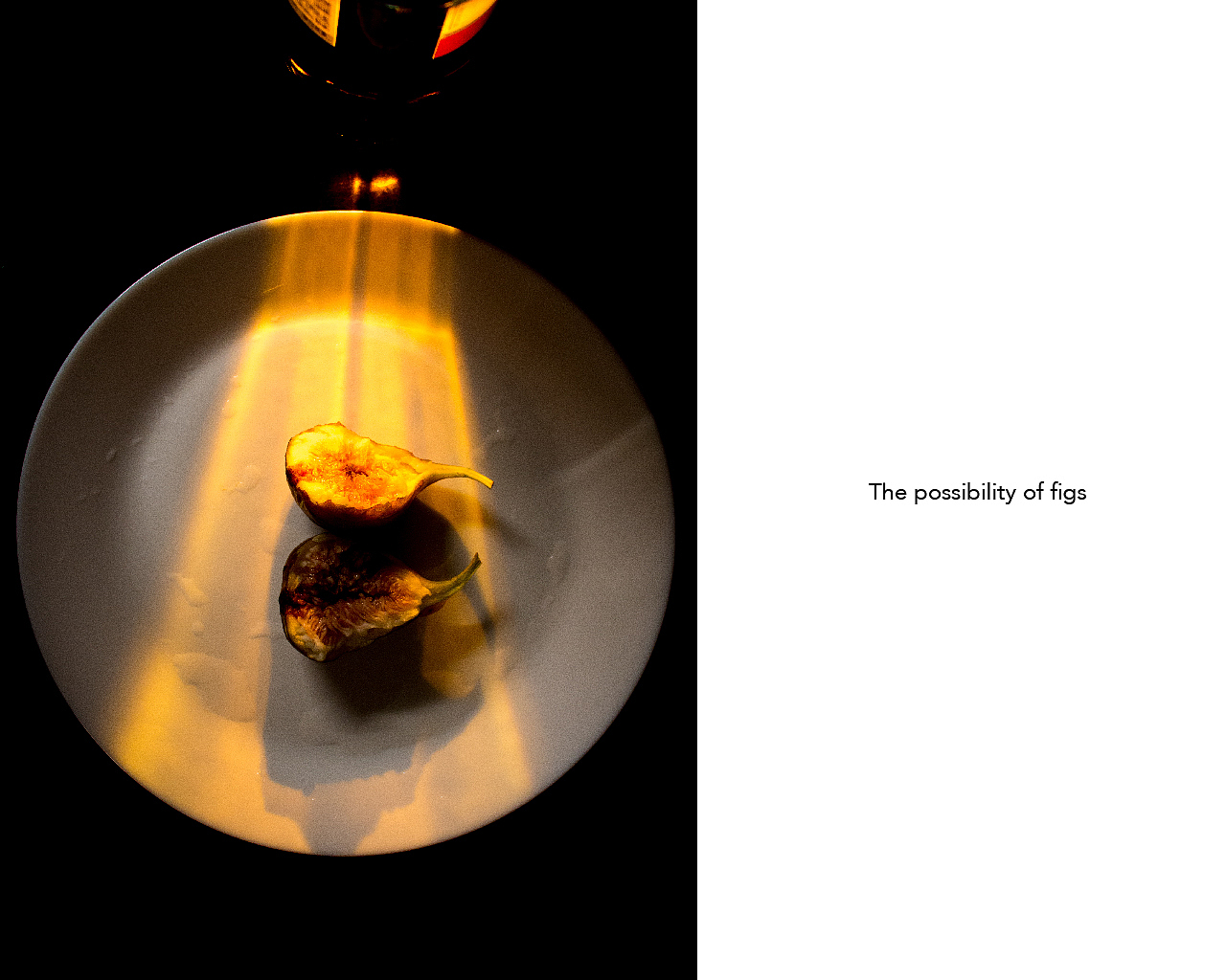 无花果的可能性