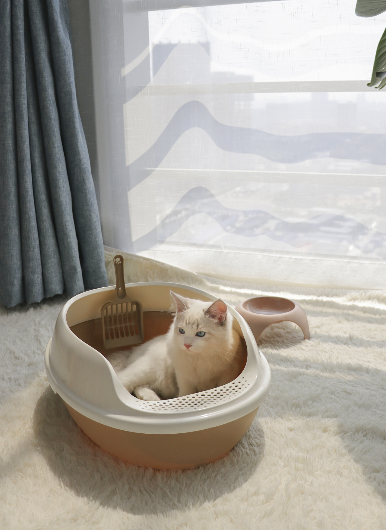 宠物用品拍摄-猫砂盆