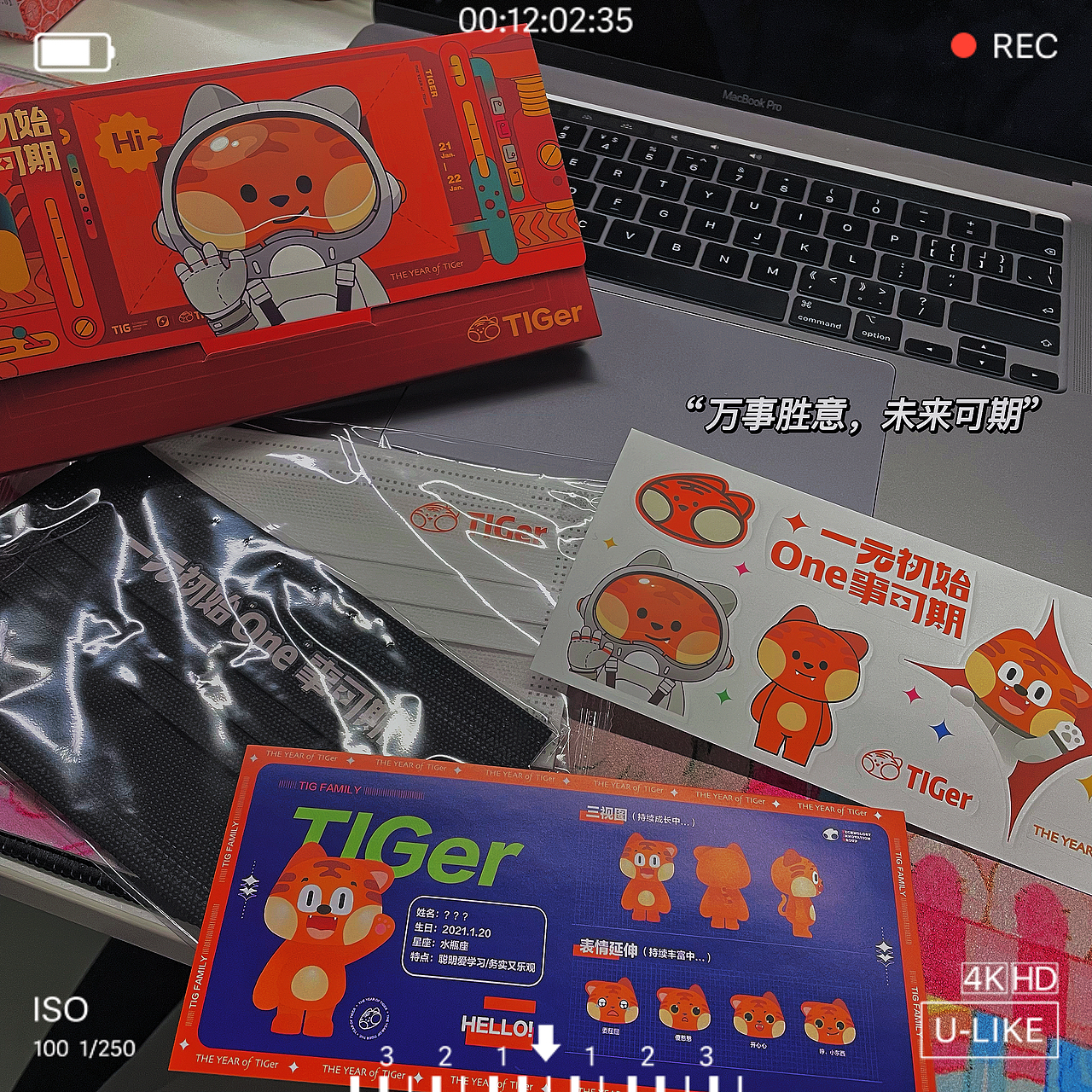 tiger ip 老虎ip（图ZMjkzODg1MjQw） - IP形象 - 站酷设计师单篱原创素材 - 站酷ZCOOL