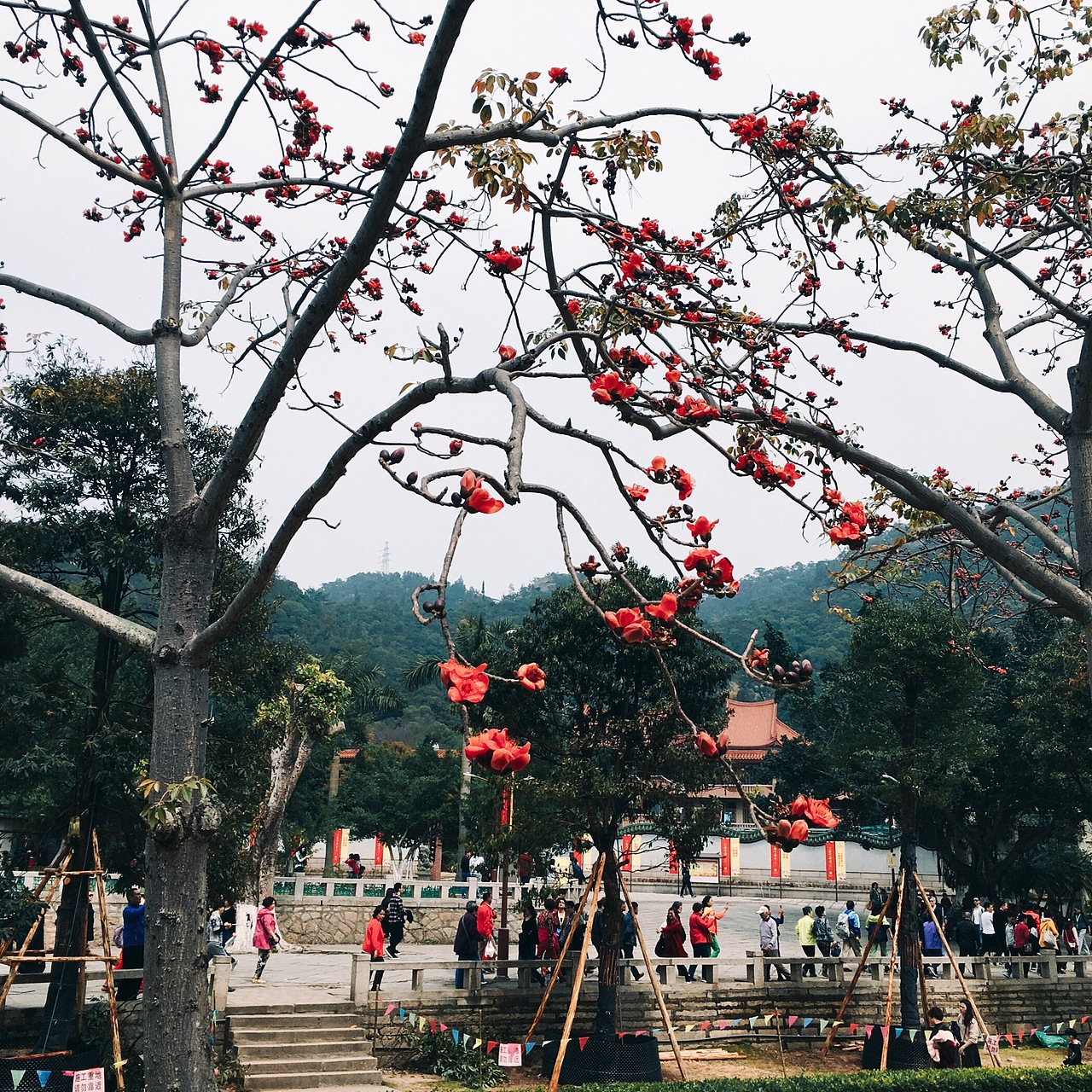 去看海绕世界流浪～（图ZNzYxMDE2OTI=） - 风光摄影 - 站酷设计师olympic110原创素材 - 站酷ZCOOL