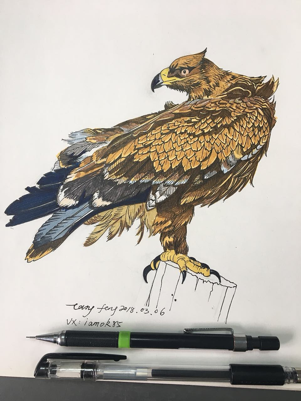 猛禽草原雕创意图案