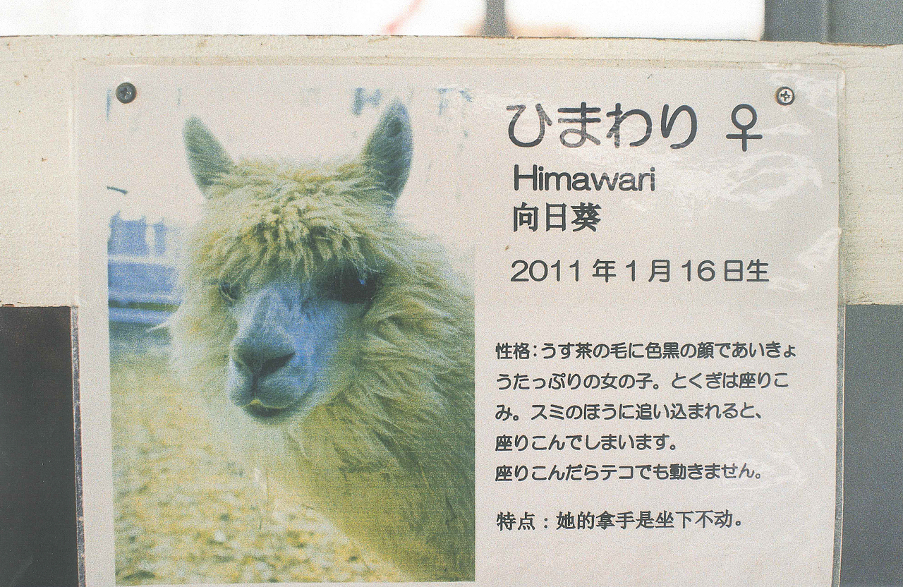 十二月十五日天气晴零下五度 ​​​​（图ZMTQwNzM1MTY0） - 人像摄影 - 站酷设计师NiccoCai原创素材 - 站酷ZCOOL