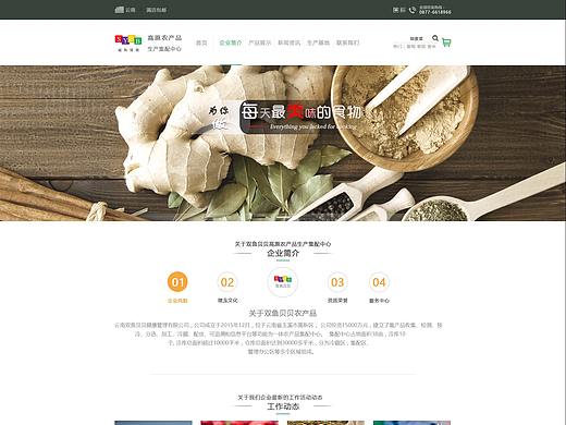 网页设计-双鱼贝贝