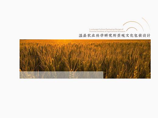 农业科技研究所文化提升包装