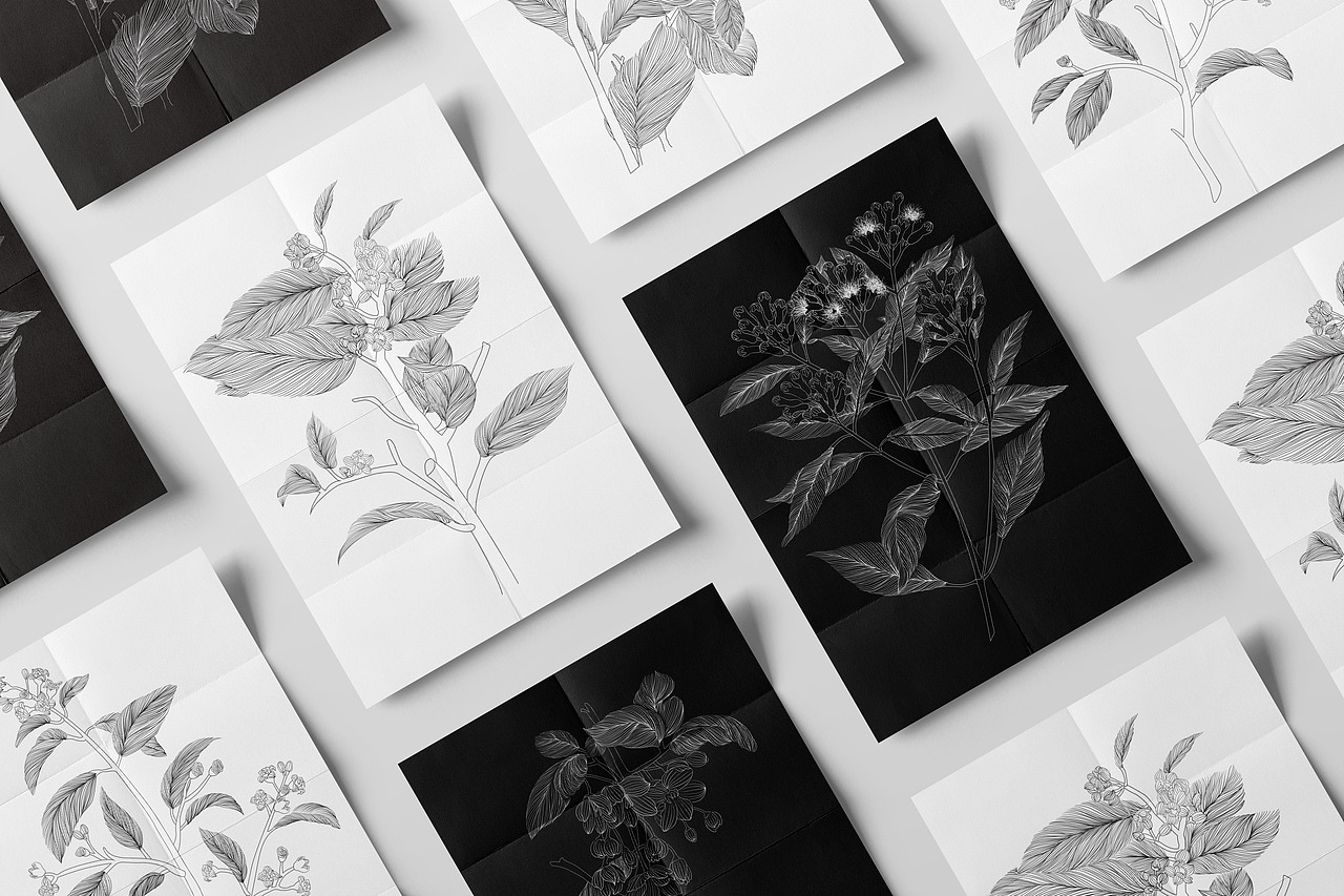 知香-2022毕业设计（图ZMzEzMjc1OTQ4） - 品牌 - 站酷设计师木又SILVIA原创素材 - 站酷ZCOOL