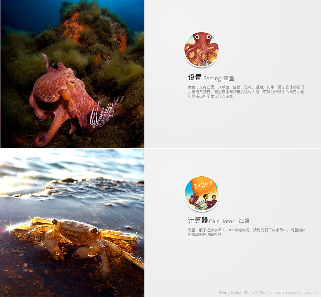海洋（图ZNjIzODQzNg==） - 主题/皮肤 - 站酷设计师慧兮若兮原创素材 - 站酷ZCOOL