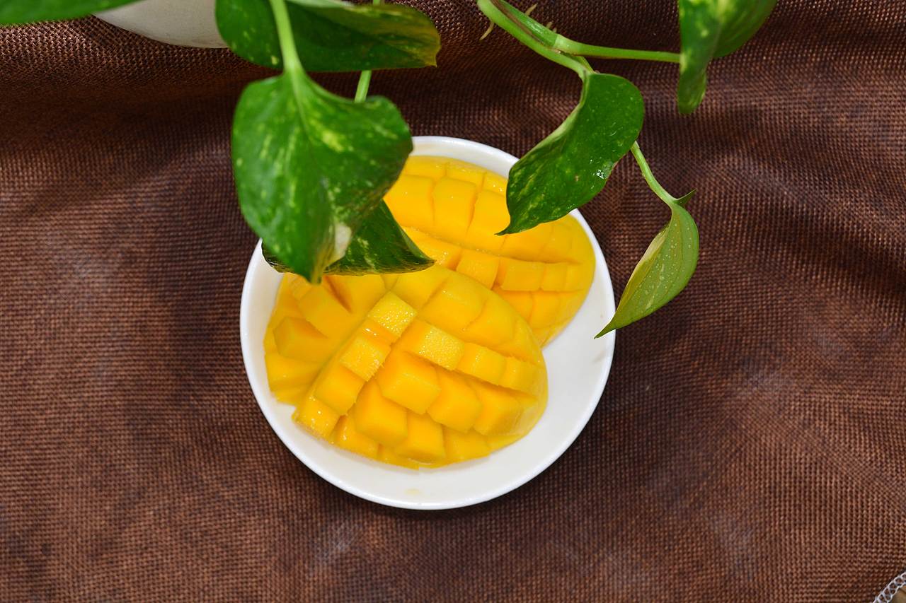 芒果/金煌芒/水娇芒/玉芒/大青芒/水果