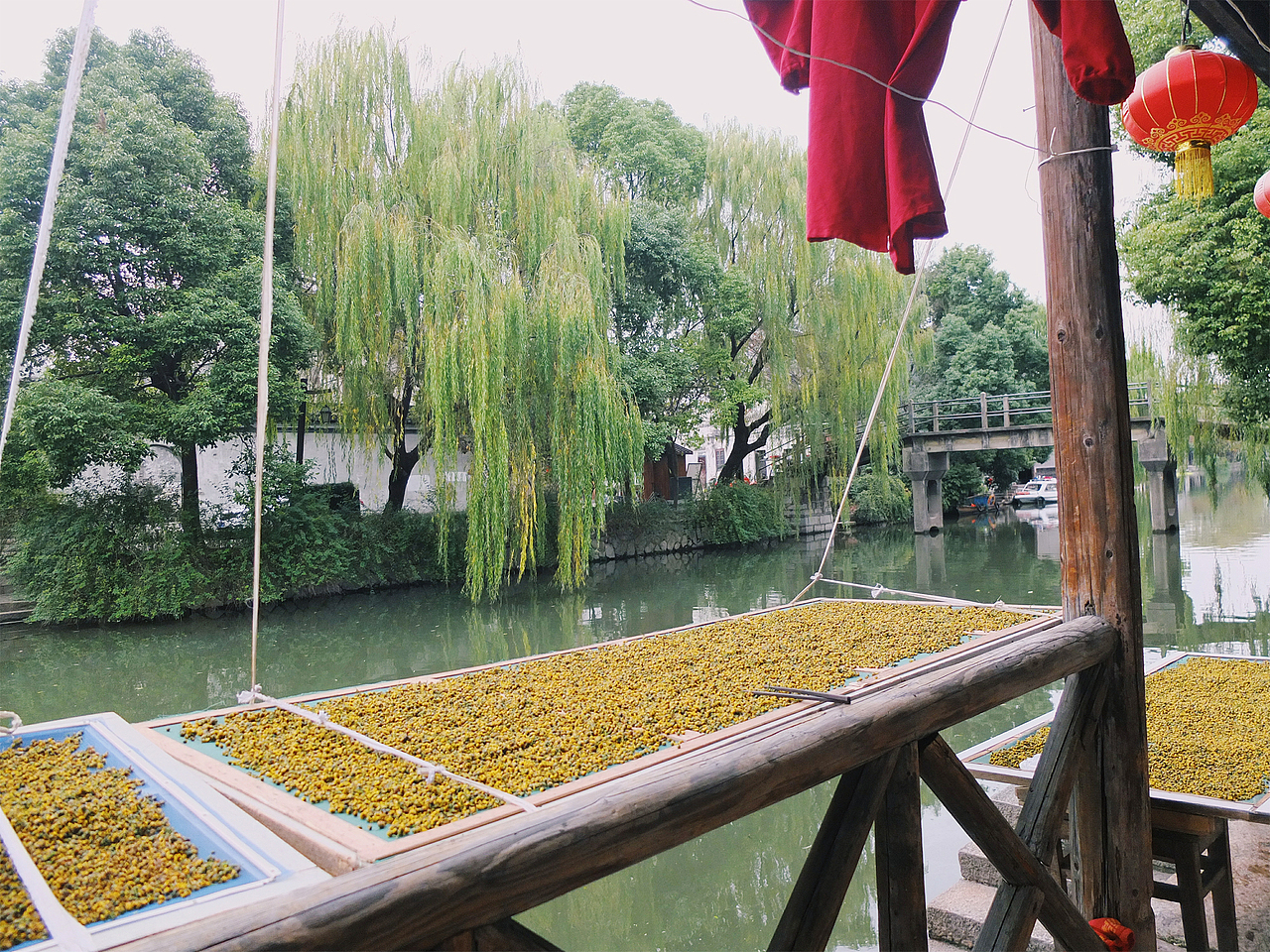 南浔古镇两日游