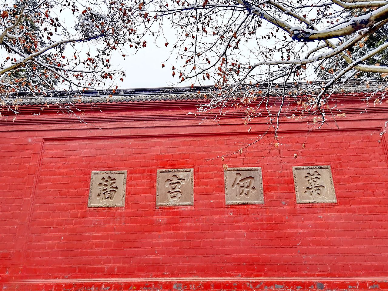 梧桐染雪映红墙……