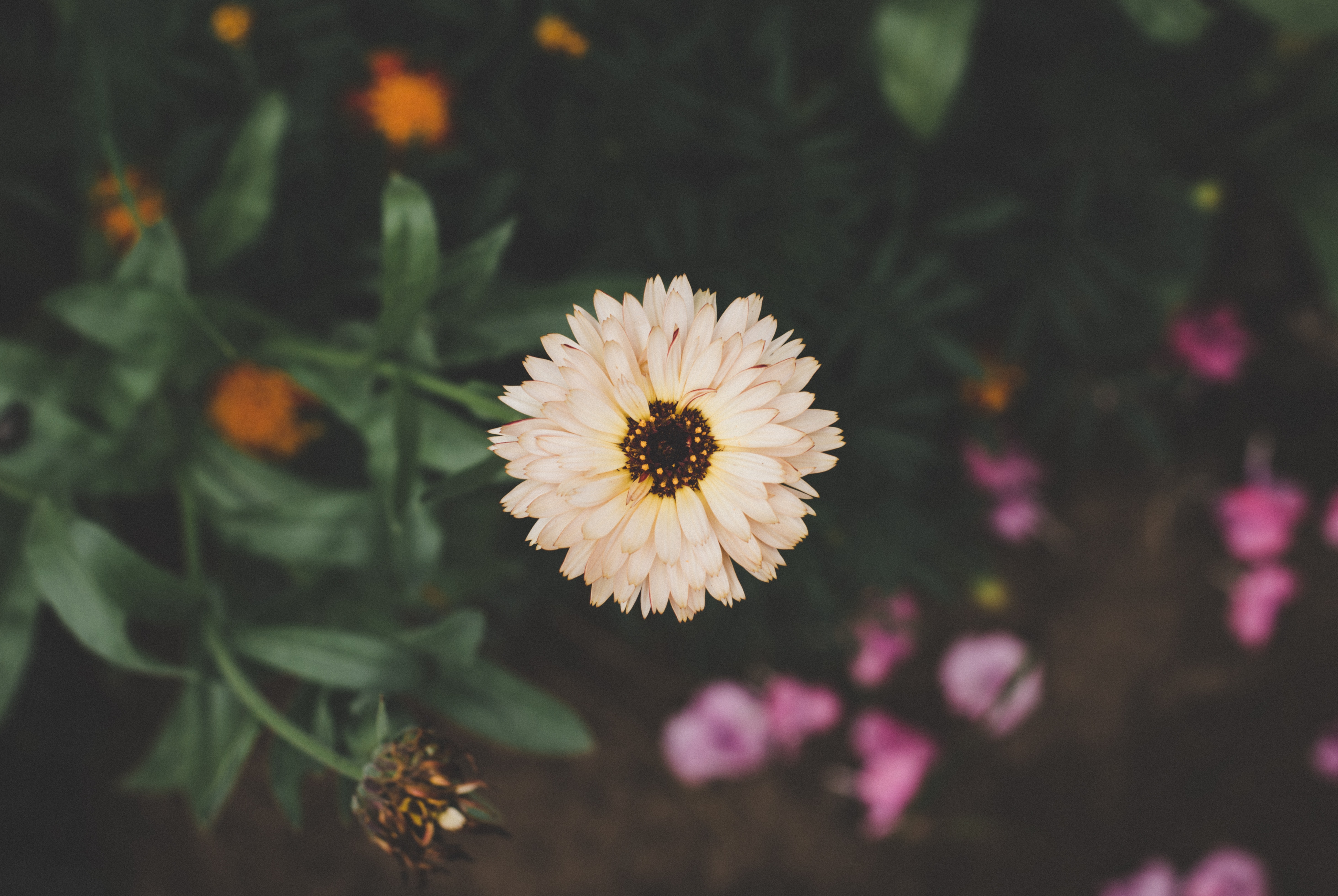 小且爱睡觉的个人主页（封面预览） - 主页封面设置 - 站酷设计师小且爱睡觉原创素材 - 站酷ZCOOL