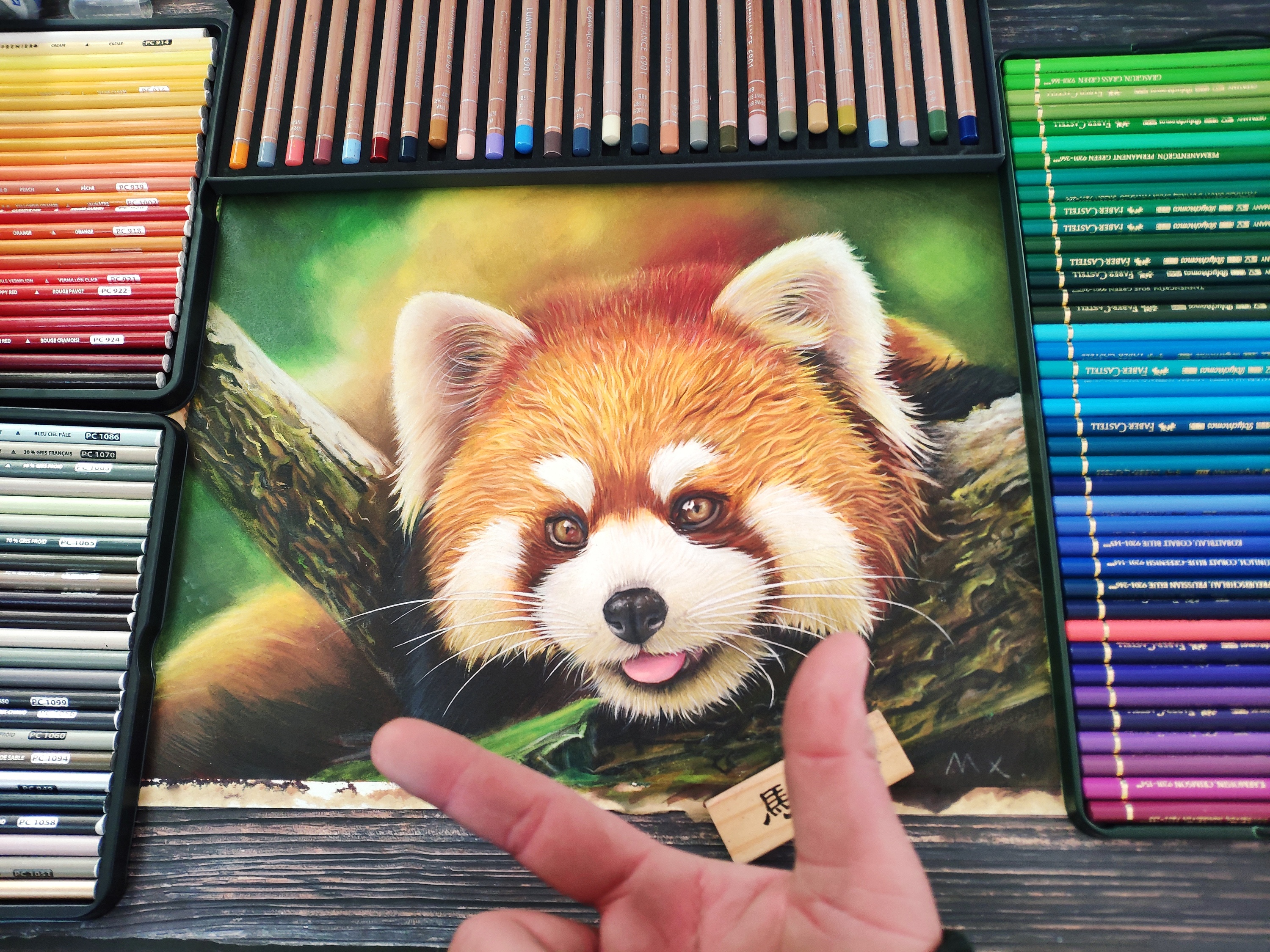 小熊猫涂颜色的参照图图片