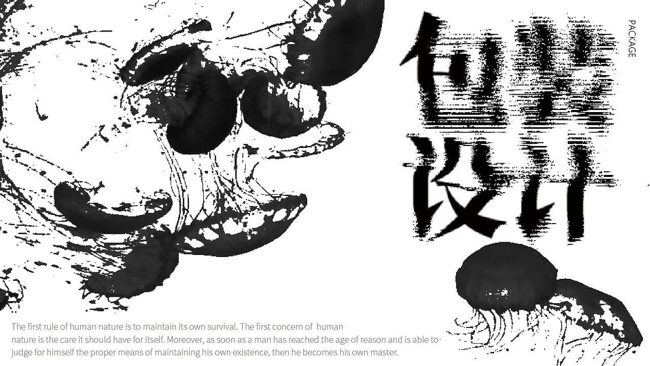 平面作品集｜我“花里胡哨”的作品集（图ZMzEzMTgyNjY0） - 其他平面 - 站酷设计师新恐龙日记原创素材 - 站酷ZCOOL