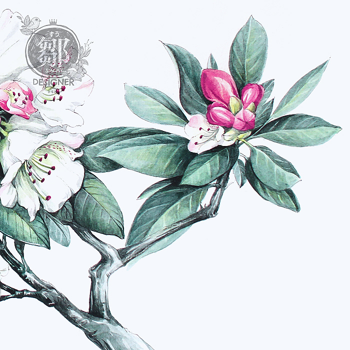 杜鹃花系列——变色杜鹃(图ZNzc5ODk3MzI=) - 商业插画 - 站酷设计师鄒慶原创素材 - 站酷ZCOOL