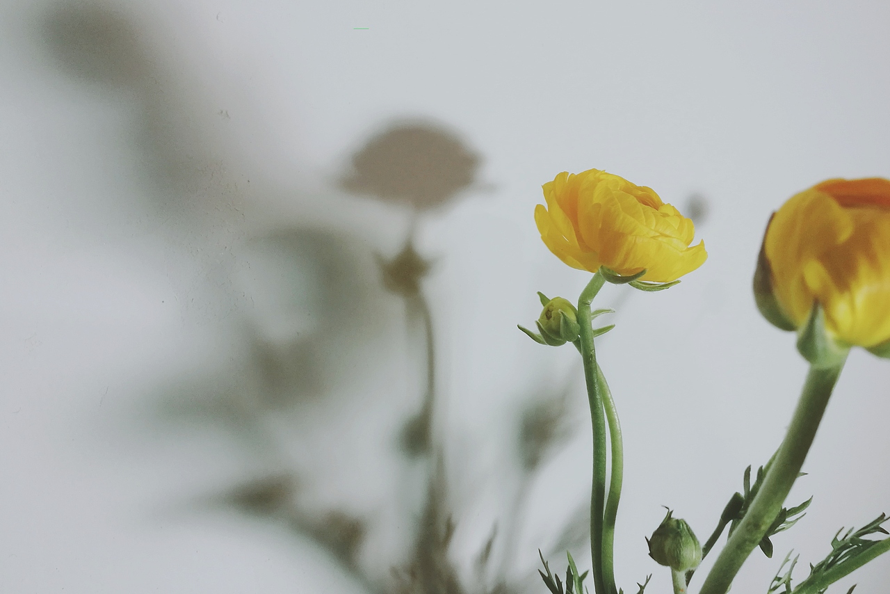 【手机摄影】III（图ZODQ4Njk3MzY=） - 人文/纪实摄影 - 站酷设计师jzjjzj18原创素材 - 站酷ZCOOL