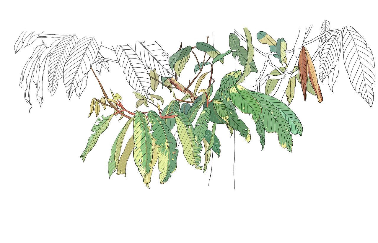 画大佬的画（图ZMTE4NjI3NTEy） - 艺术插画 - 站酷设计师大胖子学原创素材 - 站酷ZCOOL