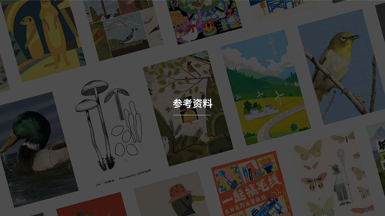 青橄榄设计 / 小红书 #我在小红书做科研