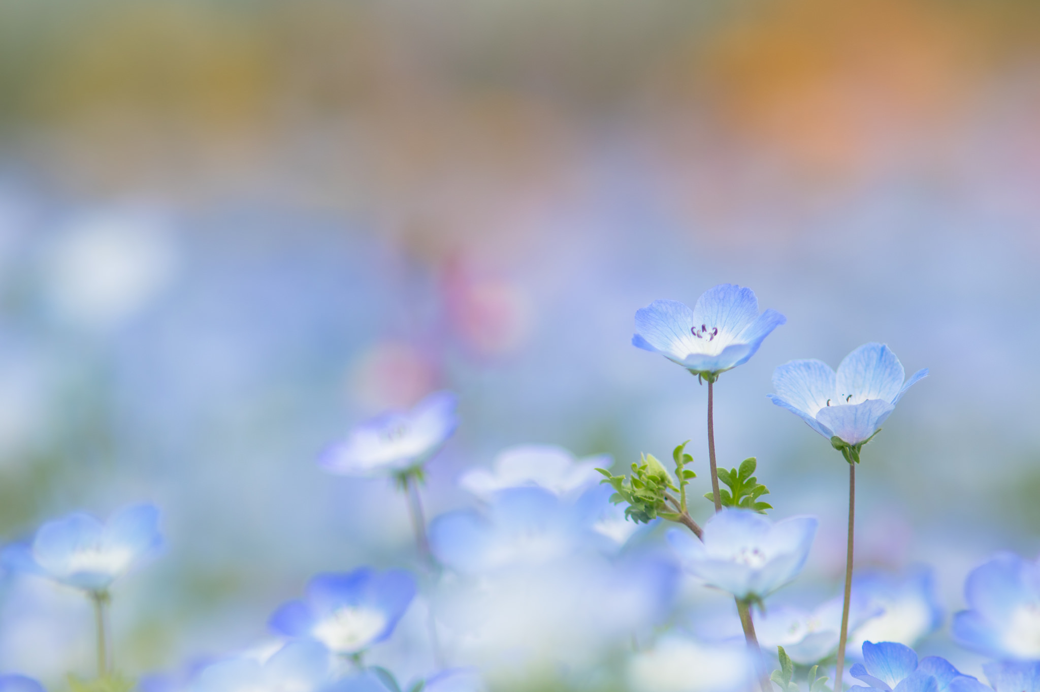 生命中的過客666的個人主頁（封面預(yù)覽） - 主頁封面設(shè)置 - 站酷設(shè)計師生命中的過客666原創(chuàng)素材 - 站酷ZCOOL