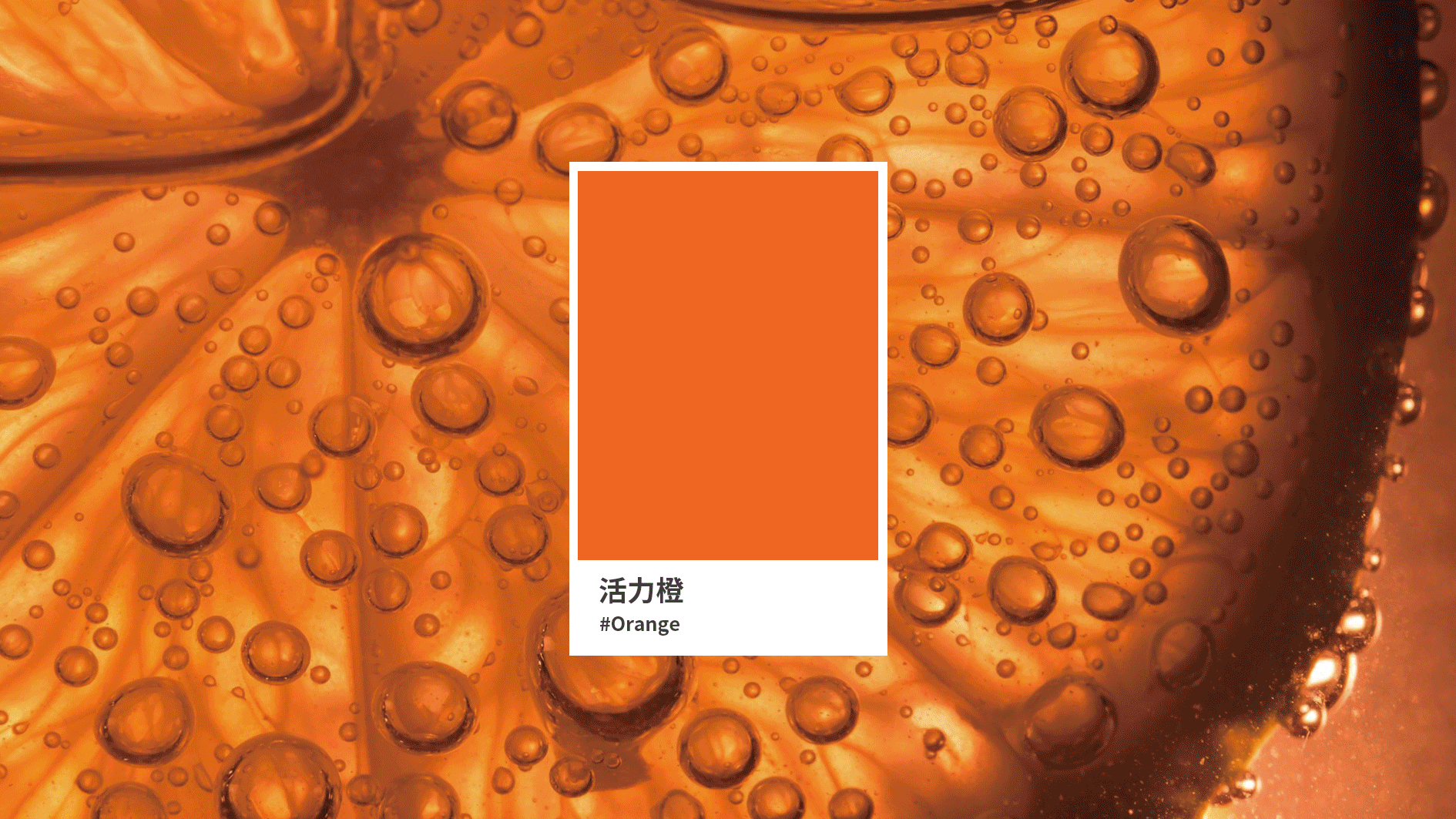 餐饮 外卖 平台 品牌 VI（图ZMTg0MDU0NjQ0） - 品牌 - 站酷设计师橡果品牌设计原创素材 - 站酷ZCOOL