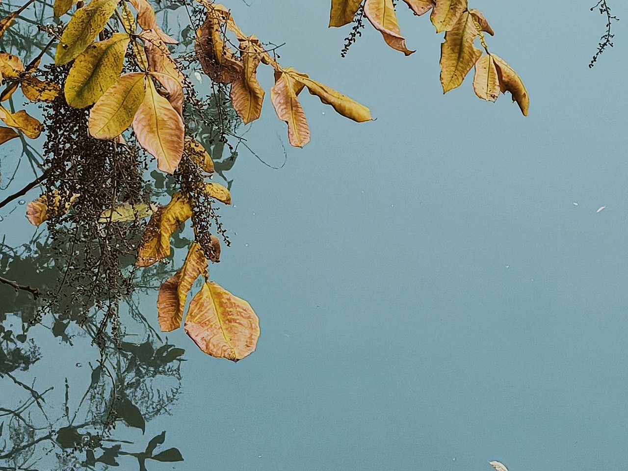 有些是摄影 有点是画