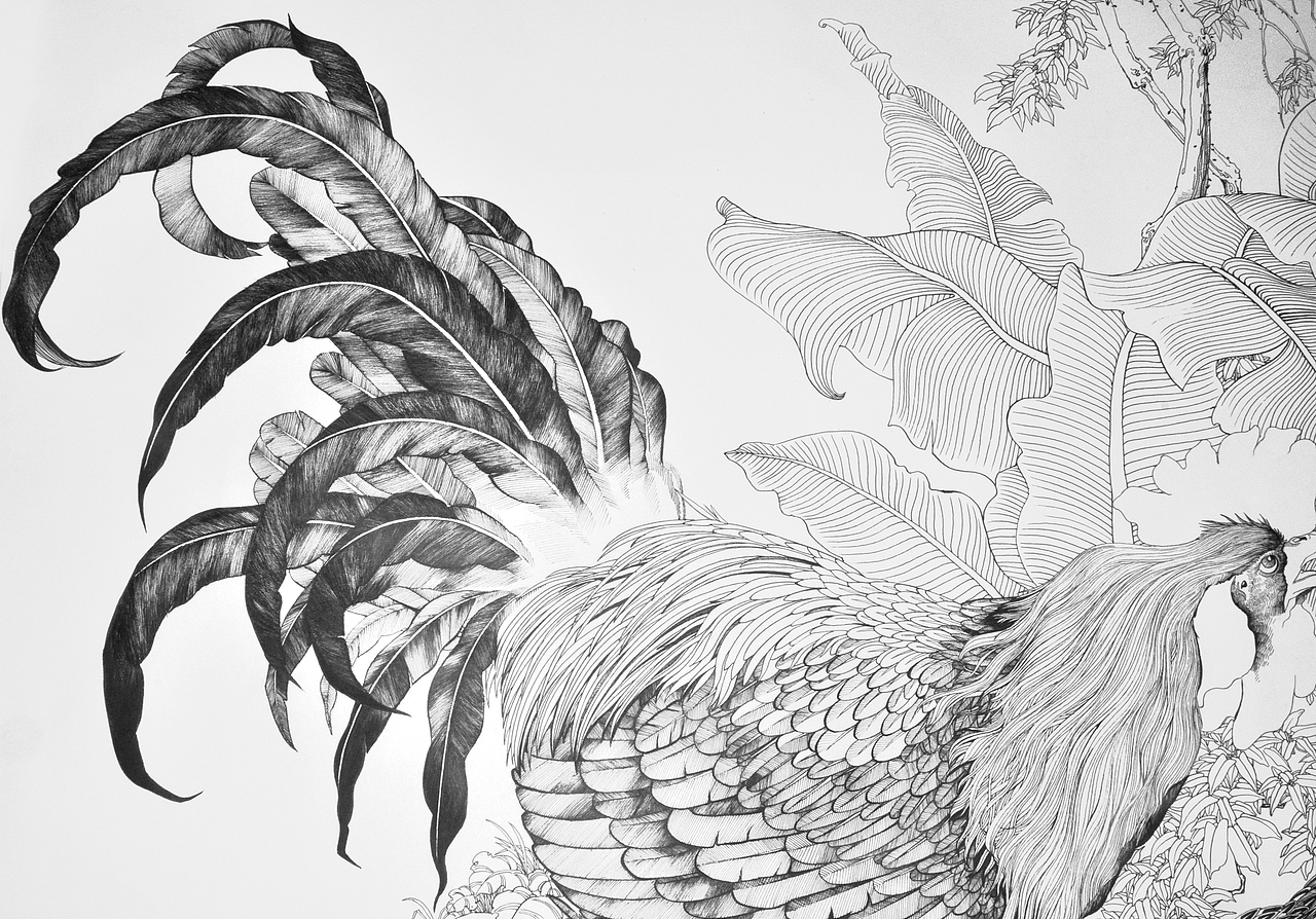 针管笔画——鸡