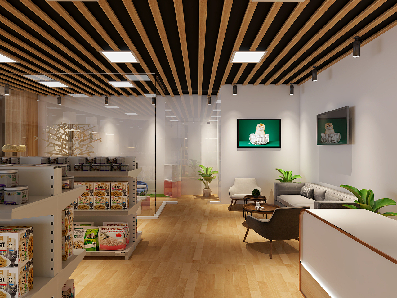 宠物店猫殿宠物妈妈广州悦汇城网红ins猫舍猫咖