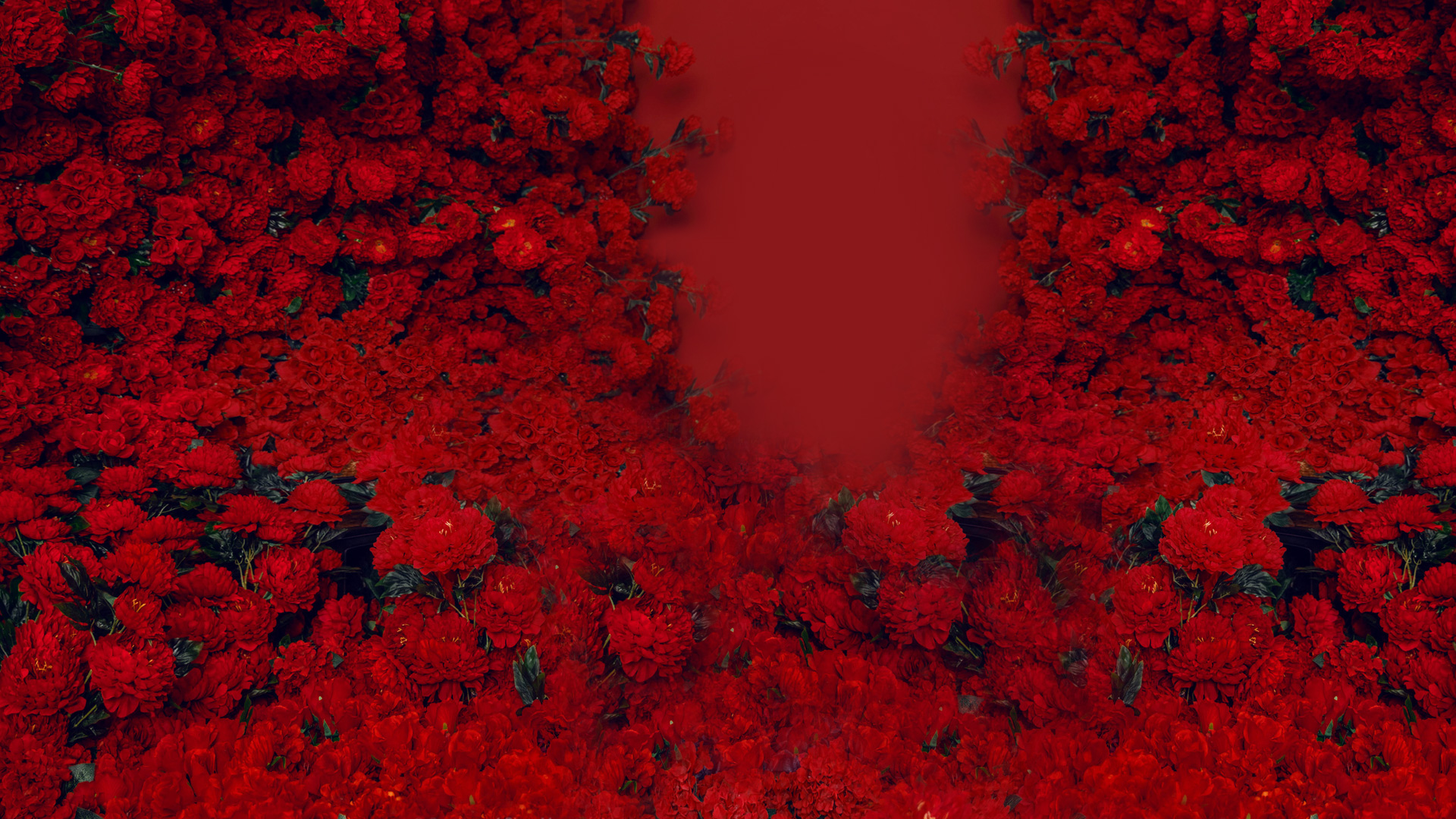 和別的烏龜不一樣的個人主頁（封面預(yù)覽） - 主頁封面設(shè)置 - 站酷設(shè)計師和別的烏龜不一樣原創(chuàng)素材 - 站酷ZCOOL